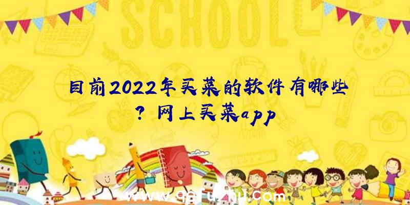 目前2022年买菜的软件有哪些？